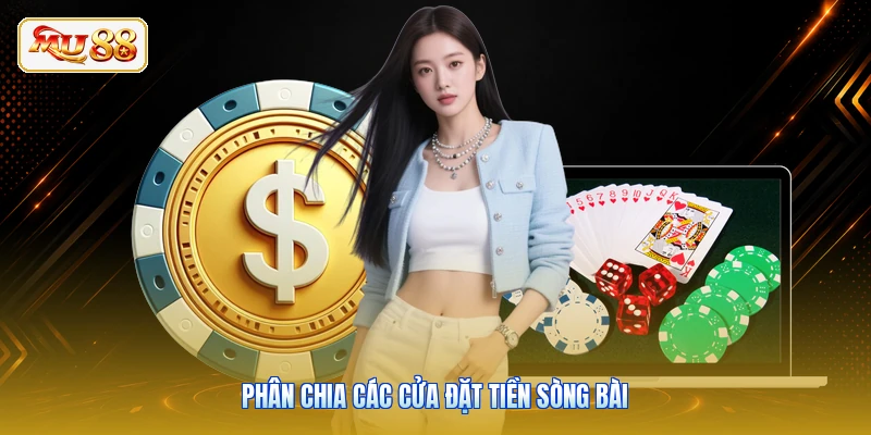 Phân chia các cửa đặt tiền sòng bài