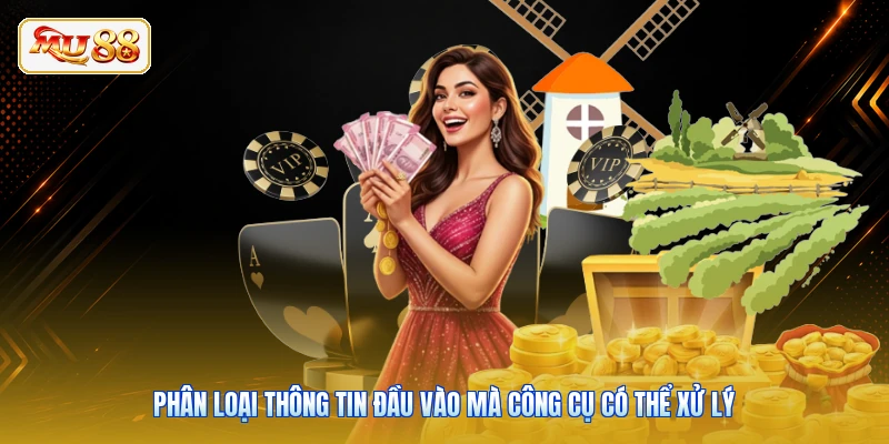 Phân loại thông tin đầu vào mà công cụ có thể xử lý